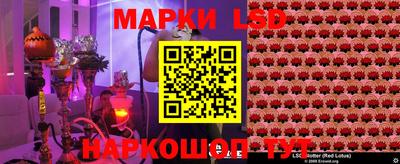 крисы Малгобек