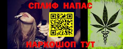 крисы Малгобек